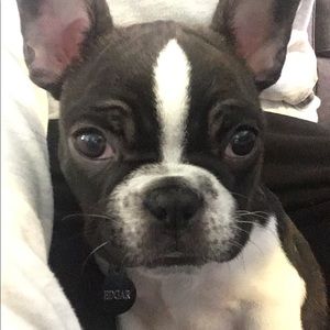 Meet your Posher, Roxanne